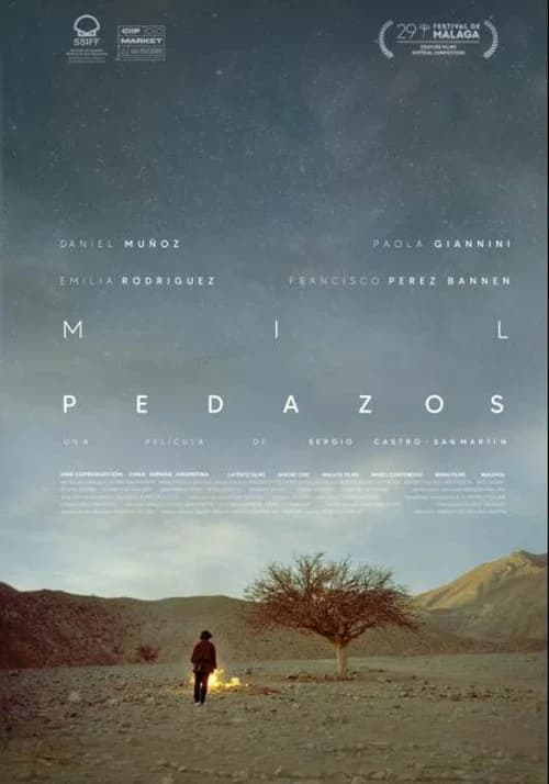 Mil pedazos